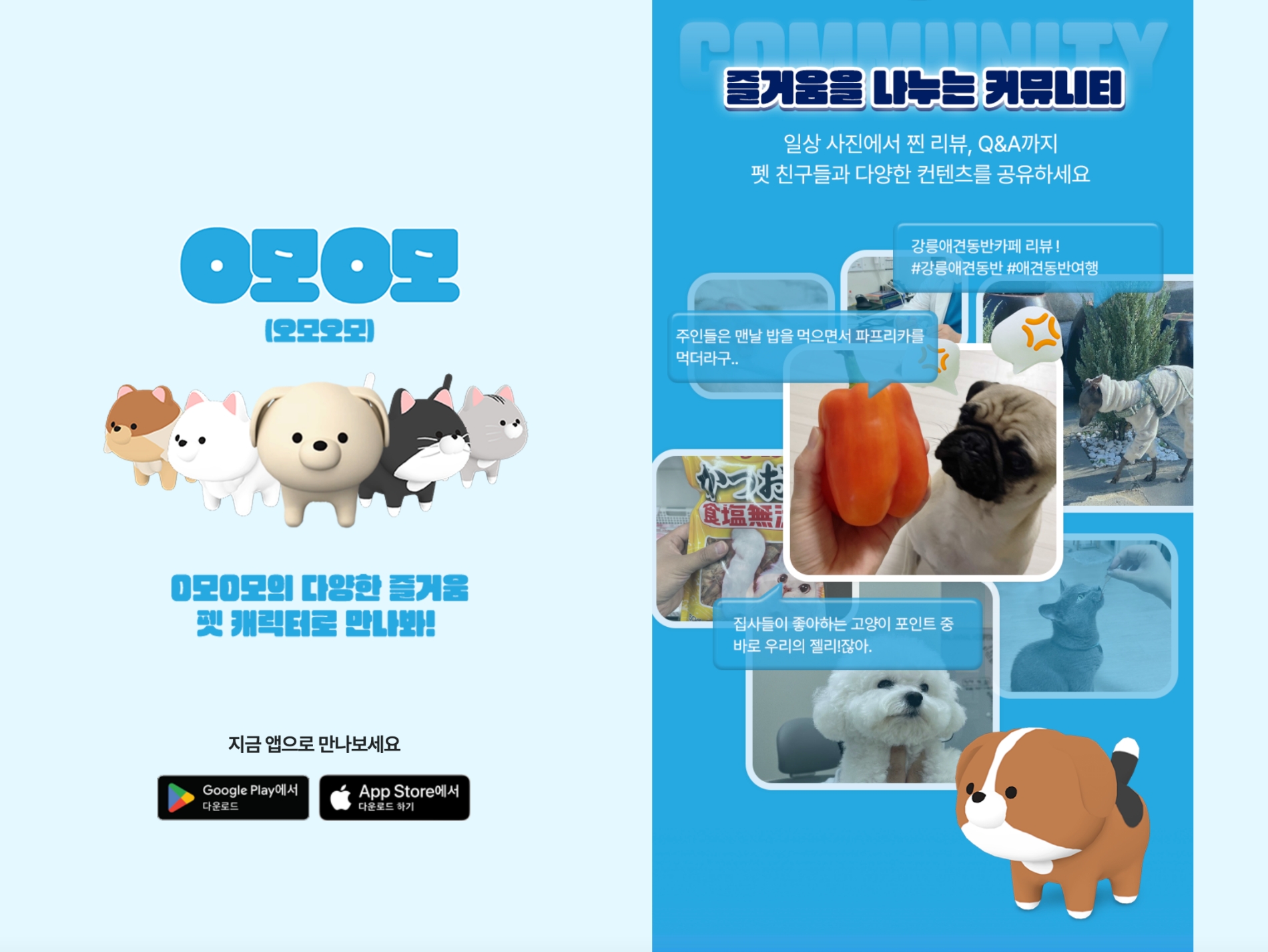 삼성화재가 펫 커뮤니티 서비스 'O모O모(오모오모)'를 제공한다./사진=삼성화재