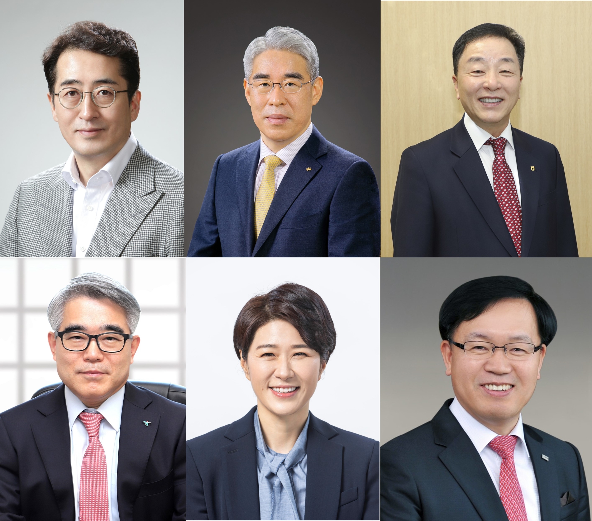 (왼쪽 시계방향부터) 김용범 메리츠화재 부회장, 김기환 KB손해보험 대표, 최문섭 농협손해보험 대표, 변재상 미래에셋생명 대표, 조지은 라이나생명 대표, 김재영 하나손해보험 대표./사진=각 사