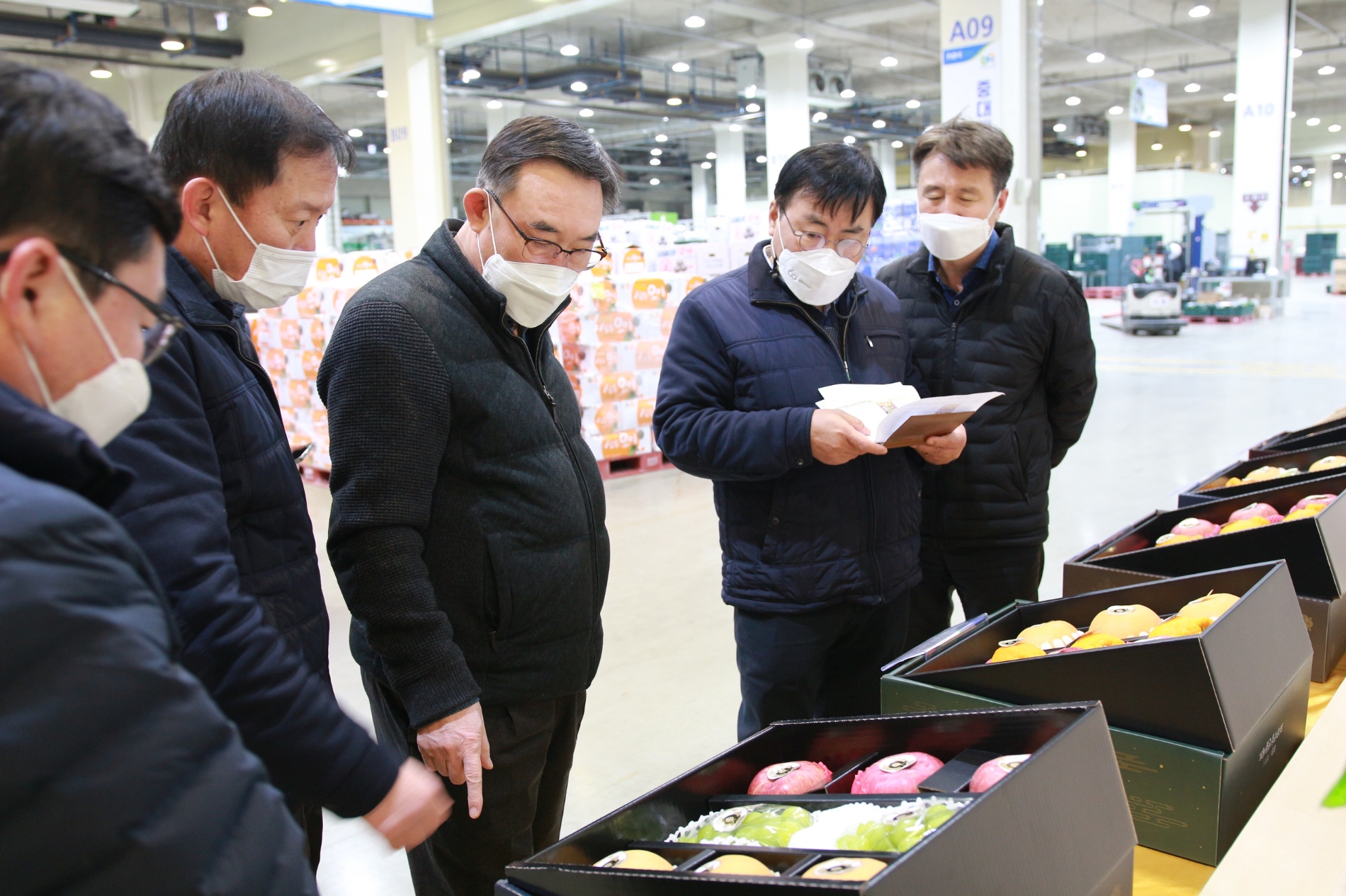 우성태 농협 농업경제대표, 안성물류센터서 농산물 수급 점검
