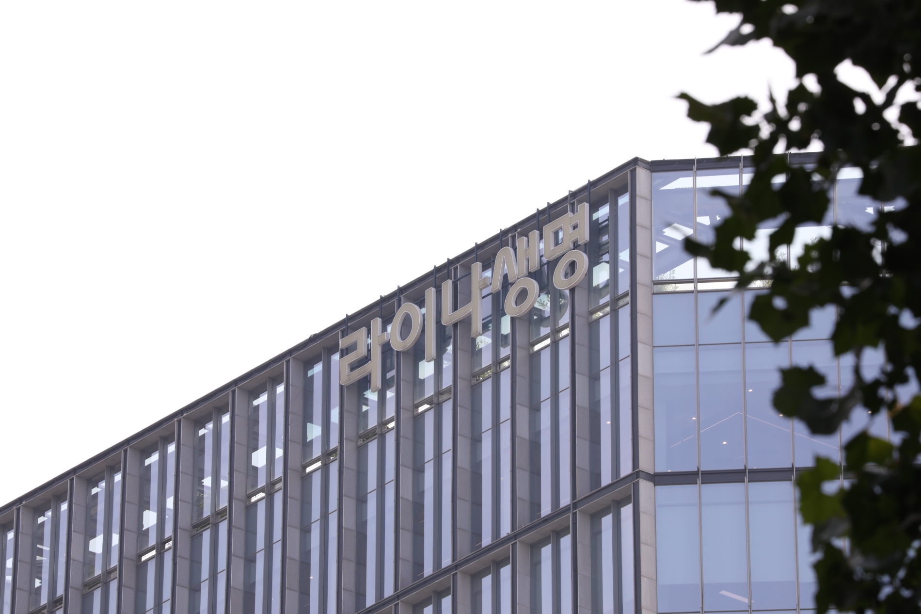 라이나생명은 대주주가 변경된 첫 해 사회공헌기금으로 100억 원을 라이나전성기재단에 출연했다고 31일 밝혔다./사진=라이나생명