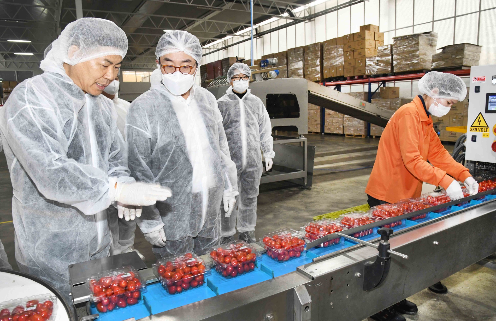 이제훈 홈플러스 사장(왼쪽에서 두번째)이 지난 16일 경북 상주시 새봄네트윅스 스마트팜 온실에서 조영호 새봄네트윅스 대표이사(왼쪽)로부터 토마토 수확 과정과 정보통신기술(ICT)을 활용한 환경제어시스템에 대한 설명을 듣고 있다./ 사진제공 = 홈플러스