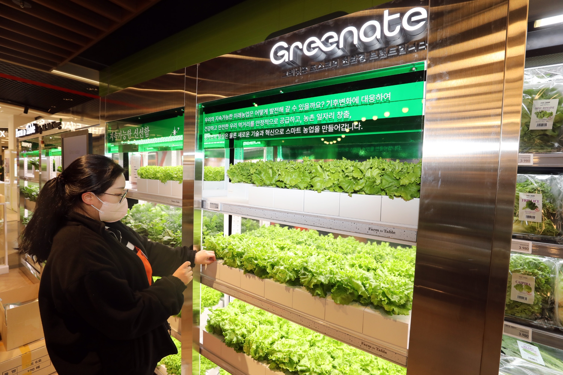 스마트팜을 통해 신선한 채소를 맛볼 수 있다. /사진제공=이마트