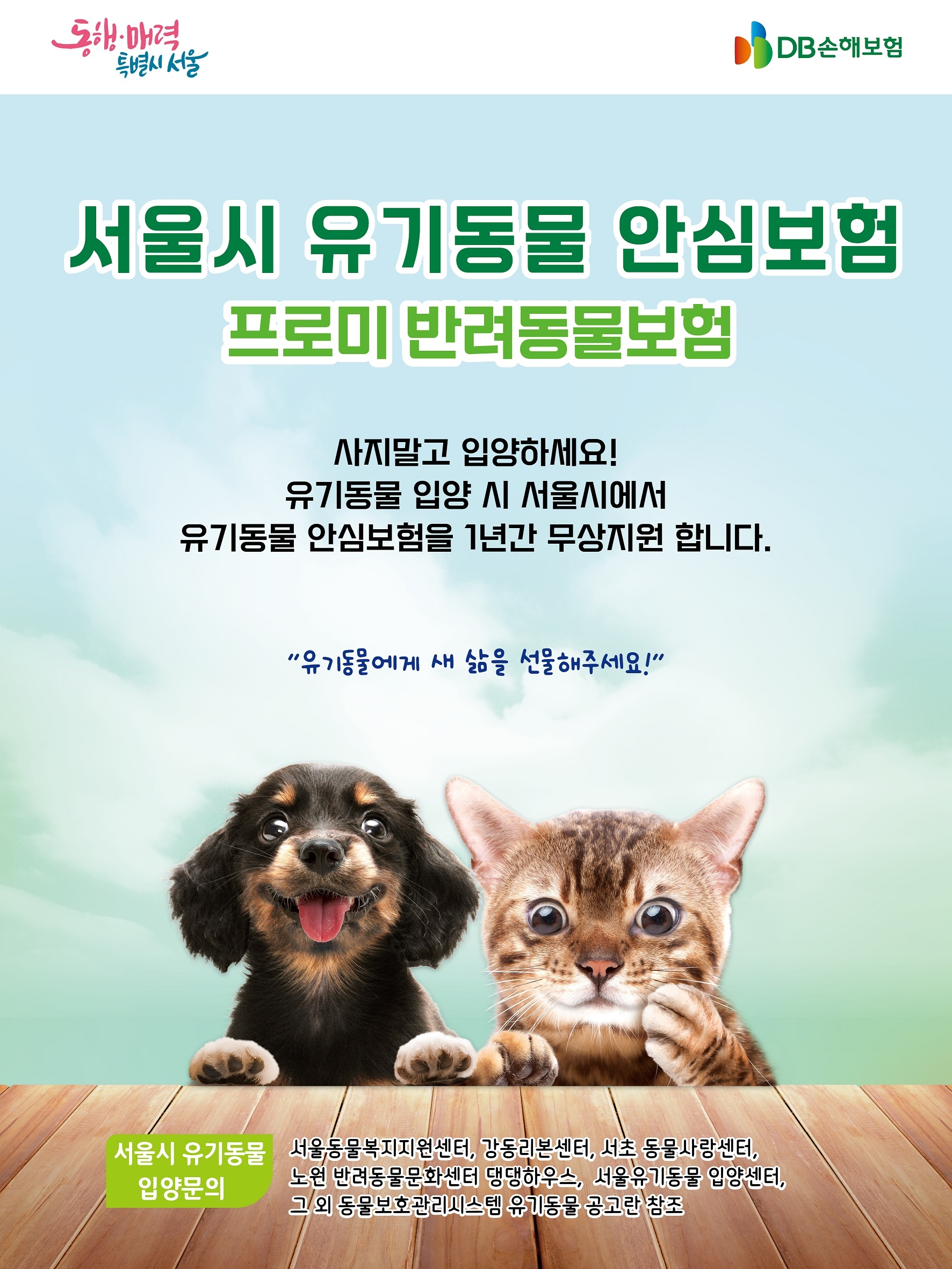 DB손해보험이 3년 연속으로 '서울시 유기동물 안심보험 지원사업'에 참여하게 됐다./사진제공=DB손해보험