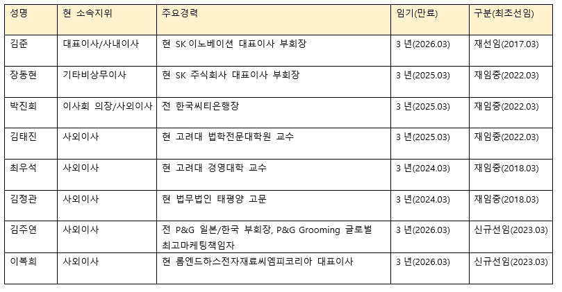 SK이노베이션 이사회 명단(2023년 3월 기준).
