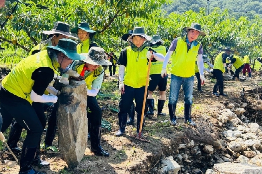 농협생명 임직원들이 지난 28일 충남 청양군 과수농가에서 폭우에 떠밀려온 바위를 치우고 있다.(2023.07.28.)./사진제공=농협생명