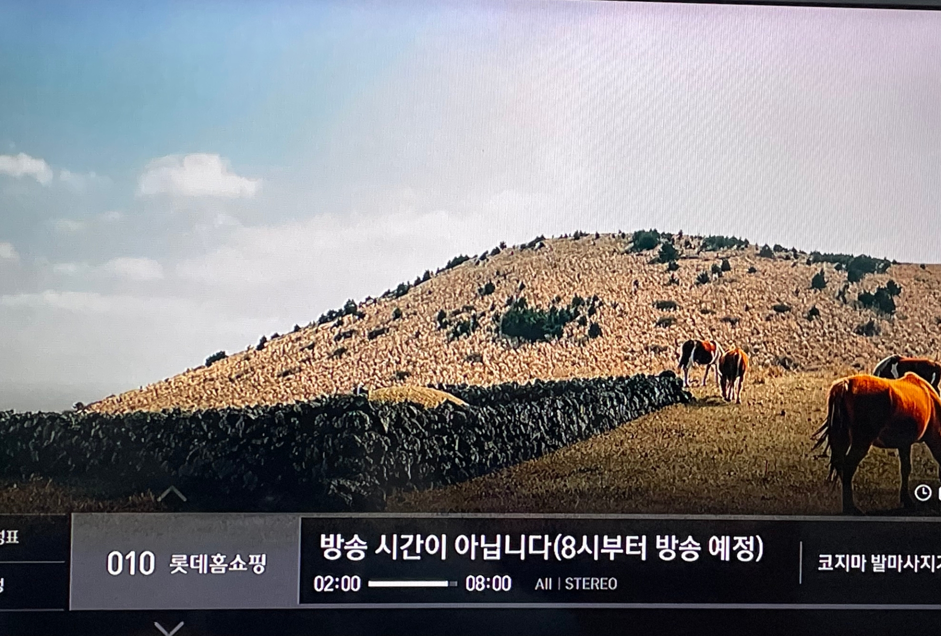 롯데홈쇼핑은 지난 2월부터 7월31일까지 새벽방송이 금지됐다. /사진=박슬기 기자