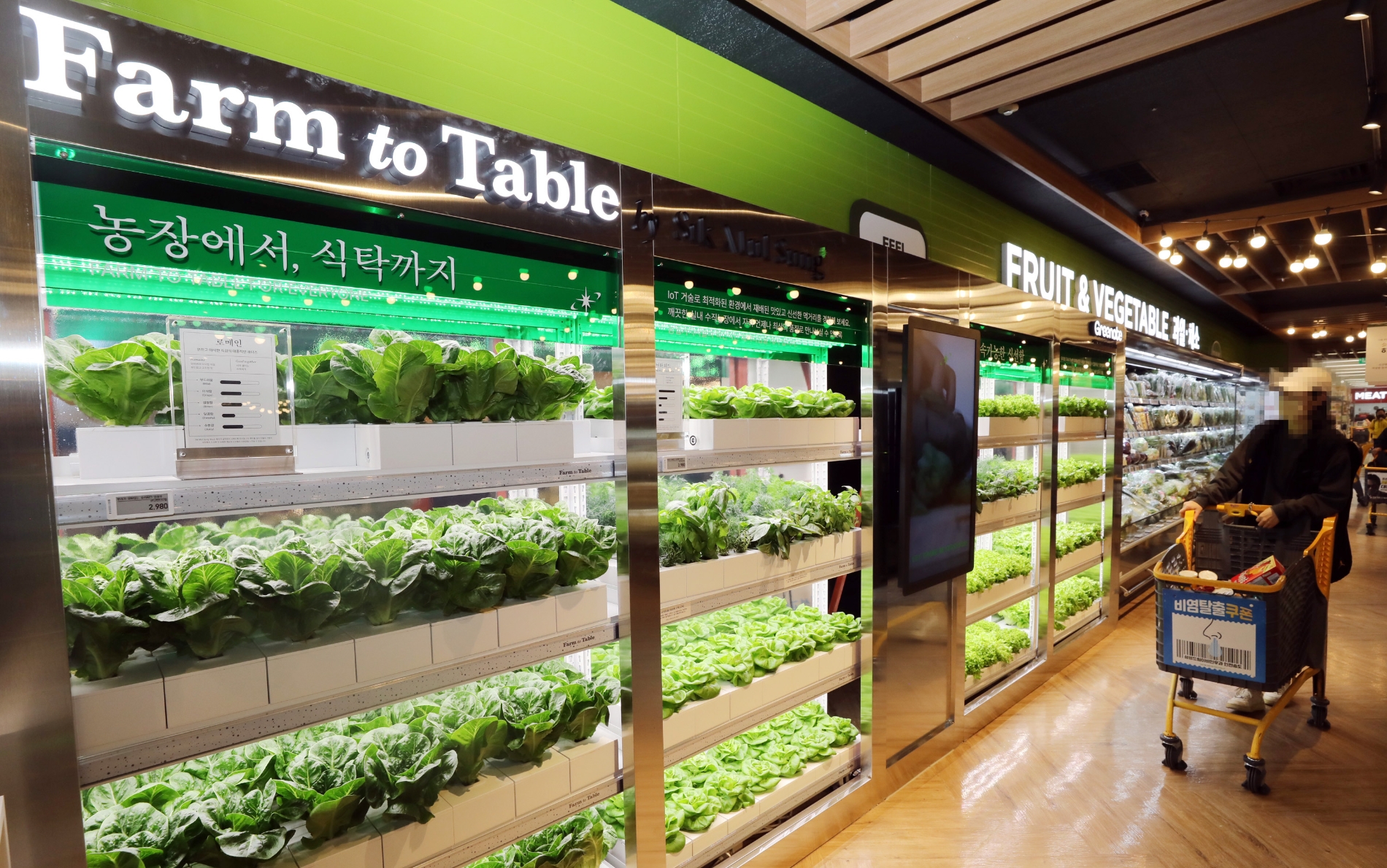 이마트 연수점에 첫 선을 보인 스마트팜. /사진제공=이마트