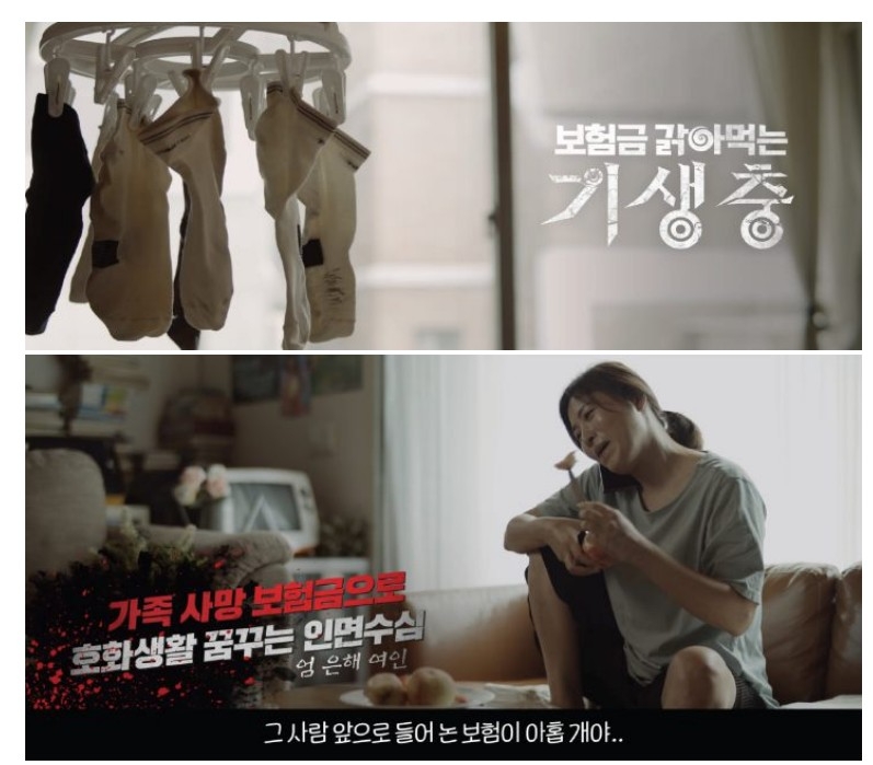 영화 ‘기생충‘ 패러디 홍보 영상 스틸컷. 사진 제공=금감원