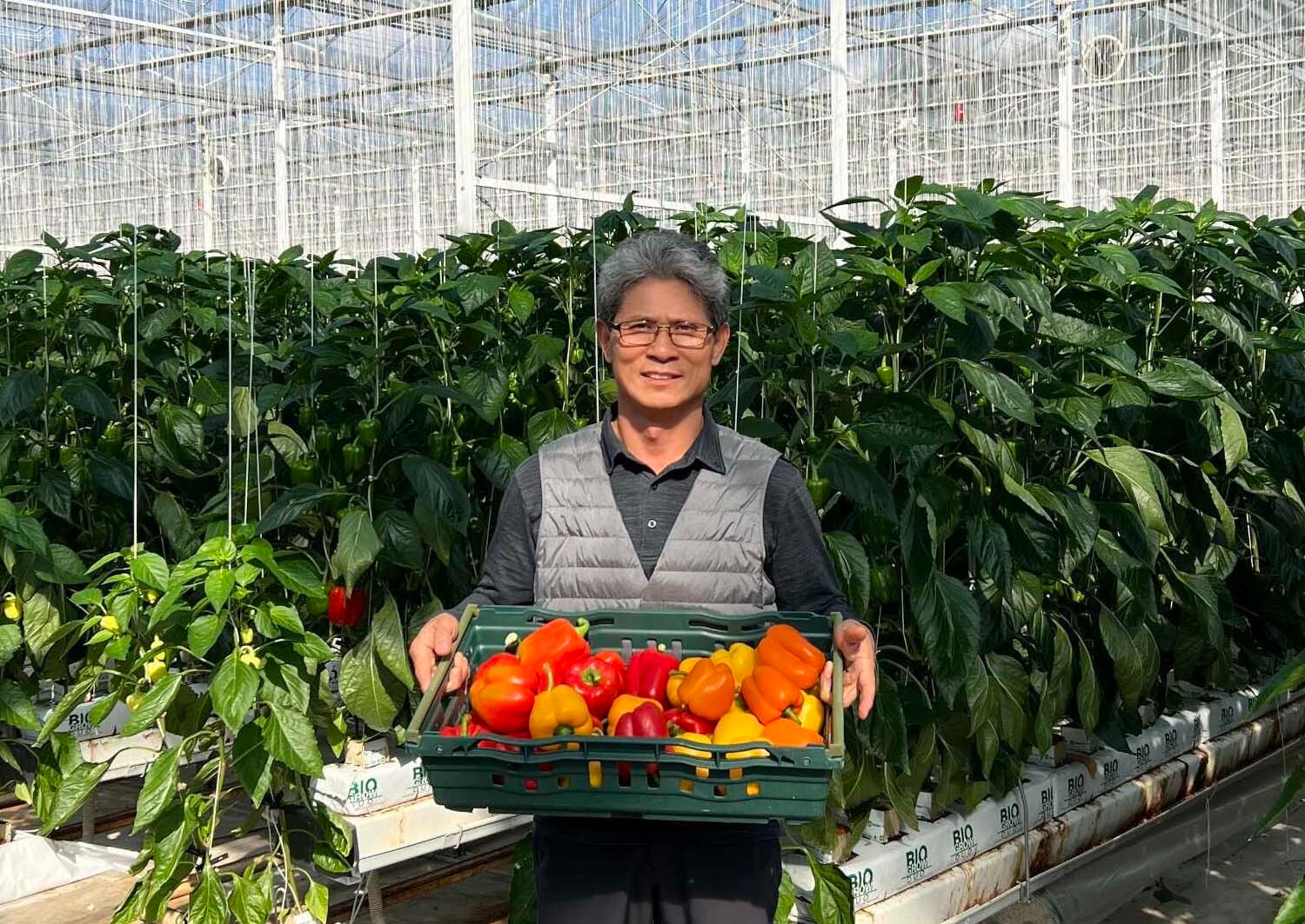 쿠팡이 '못난이 채소' 370톤을 매입했다. /사진제공=쿠팡