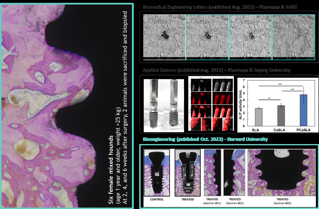 윤삼정 플라즈맵 공동대표./사진제공=투자홍보(IR‧Investor Relations) 컨설팅 전문 기업 ‘IR큐더스’(대표 이준호‧이종승)