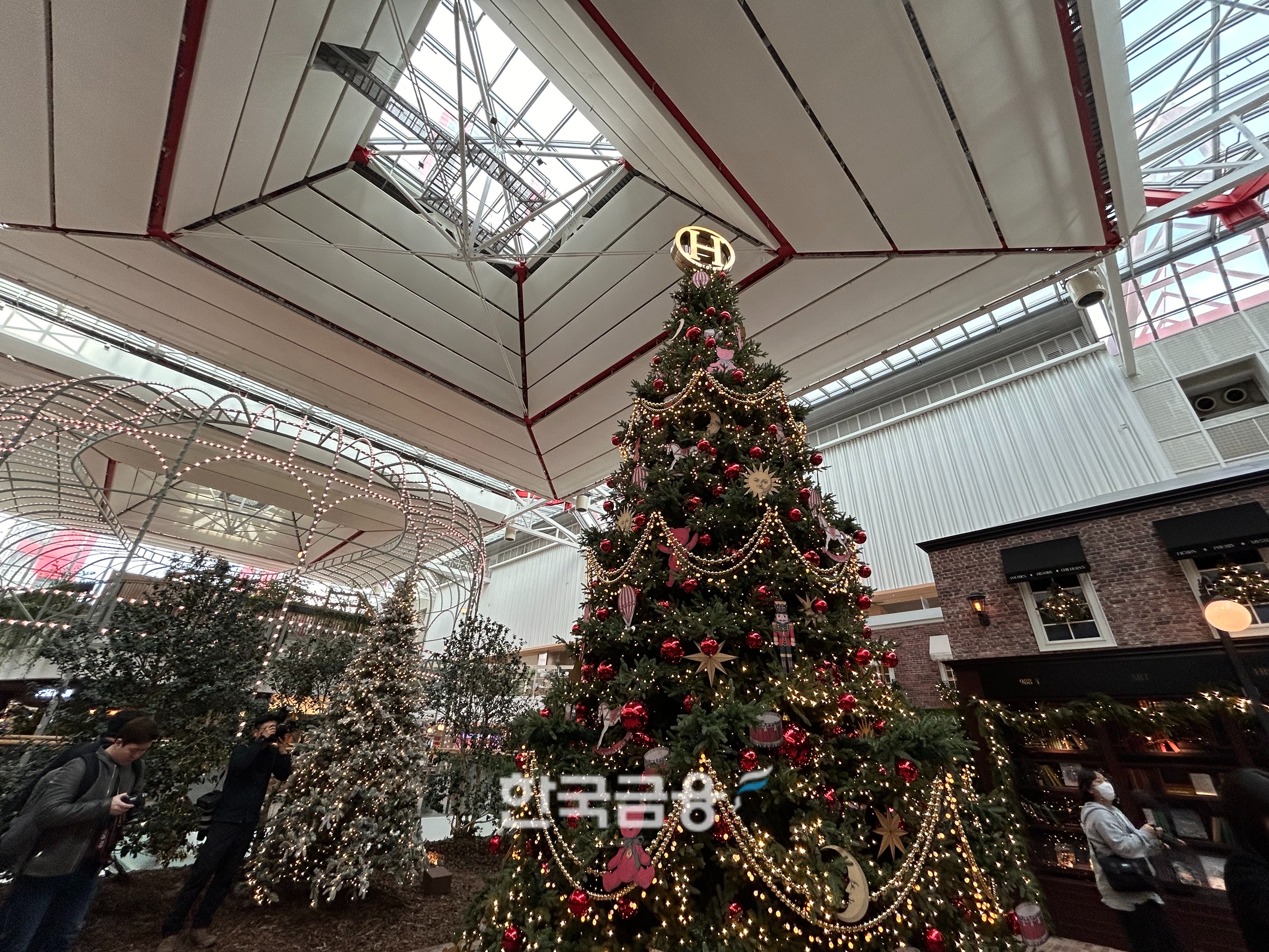 11M 높이의 대형 크리스마스 트리로, 인증샷을 찍기 위해 많은 사람들이 모여들었다. /사진=박슬기 기자 
