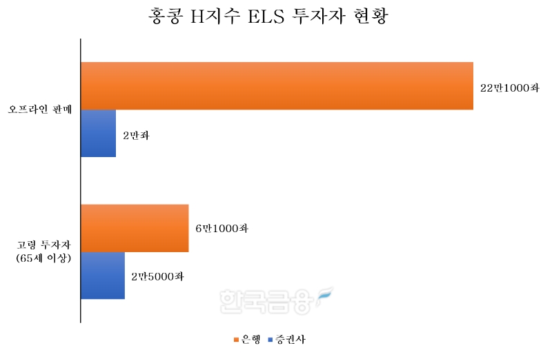 금융감독원이 발표한 홍콩 H지수 ELS 투자자 현황. /표=신혜주 기자