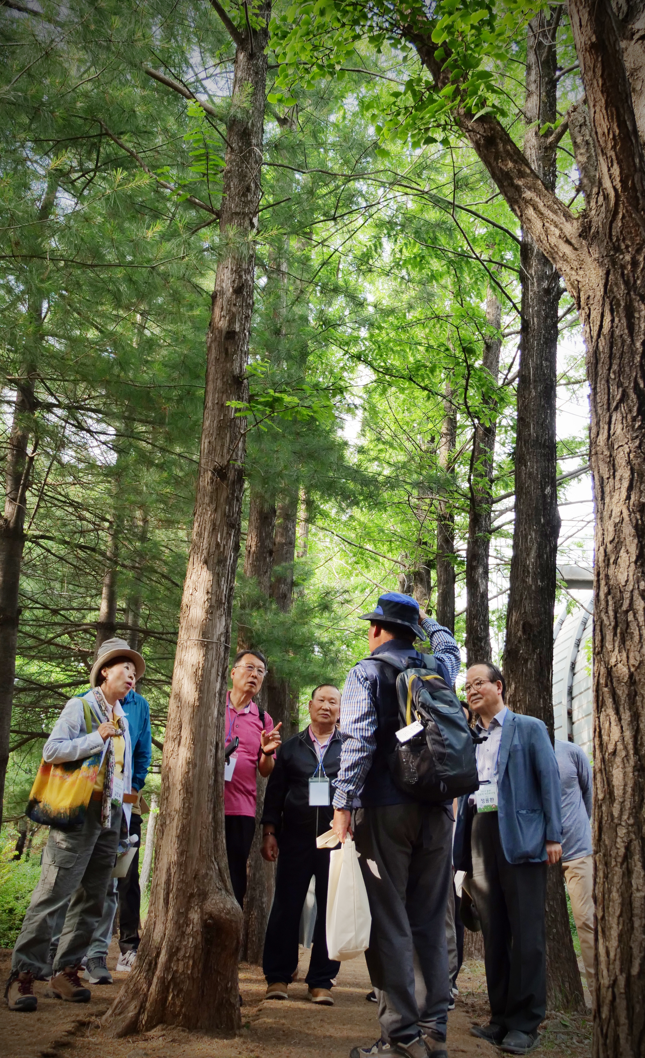 송파구, 하하호호 생태탐방./사진제공=송파구