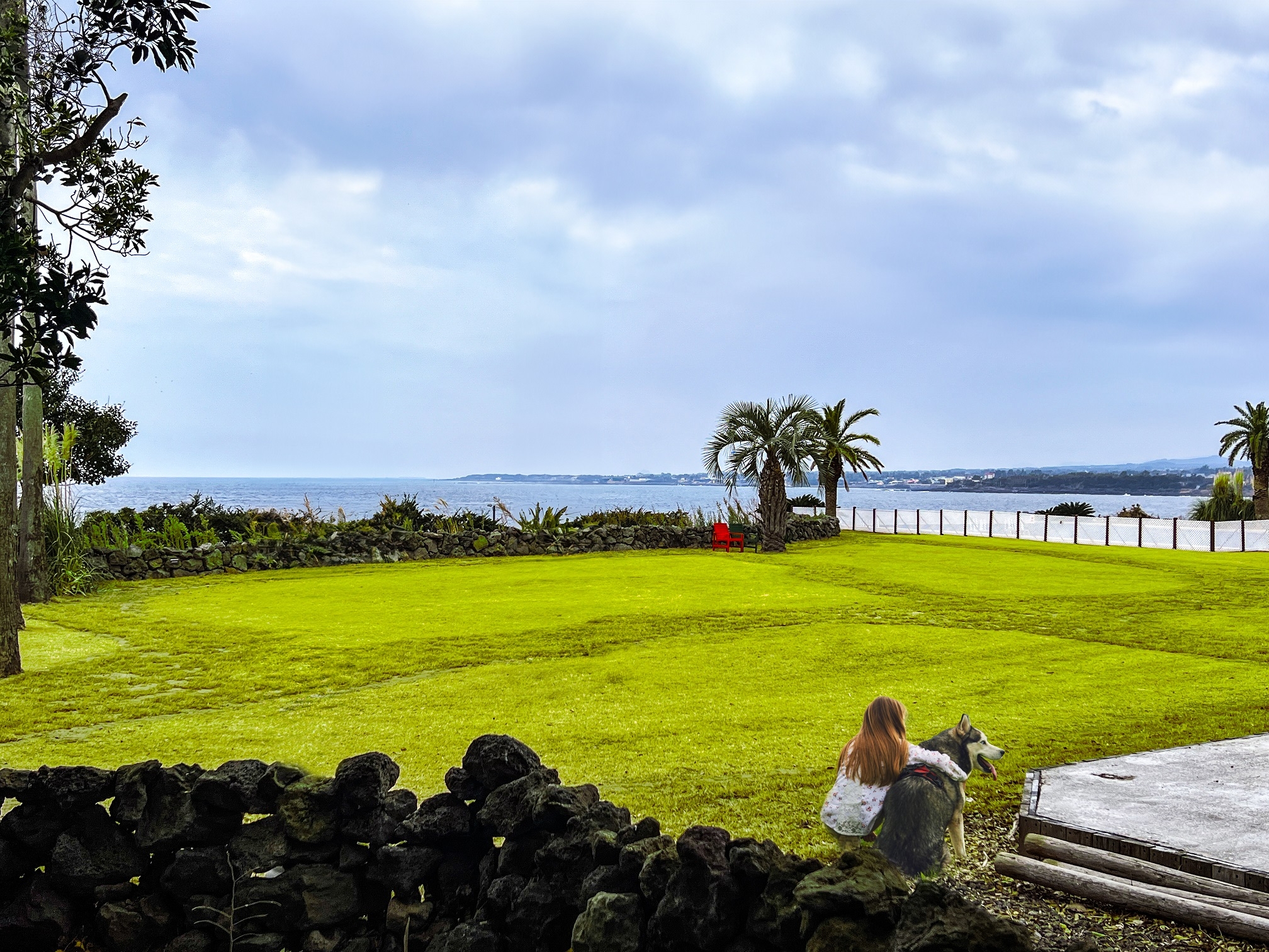 소노캄 제주가 '펫 프랜들리' 리조트로 운영을 확대한다. /사진제공=대명소노그룹