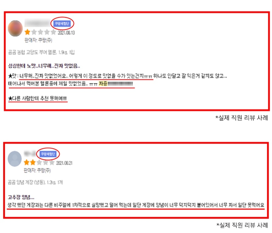 쿠팡체험단이 쓴 리뷰. /사진제공=쿠팡