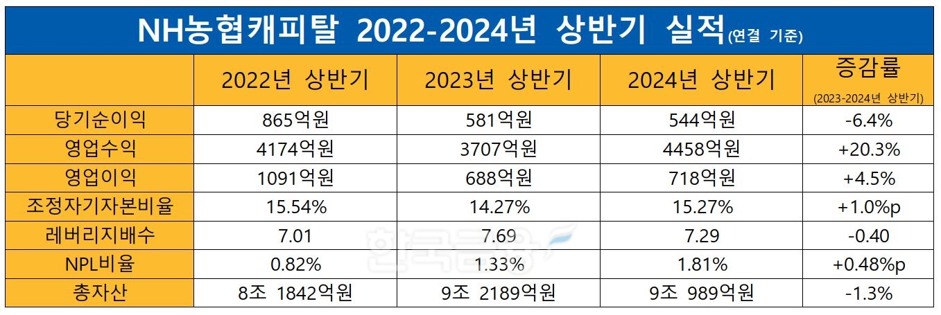 NH농협캐피탈 2022-2023-2024년 상반기 실적./ 자료 = NH농협금융