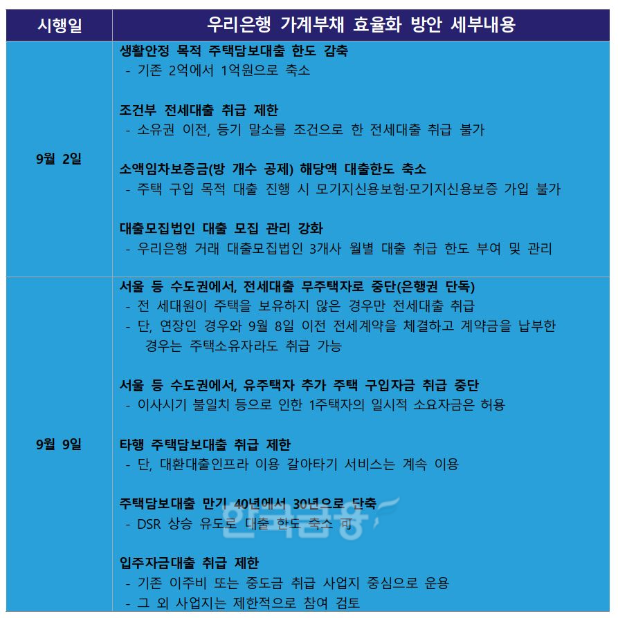 우리은행 가계부채 효율화 방안 세부내용./ 자료 = 우리은행