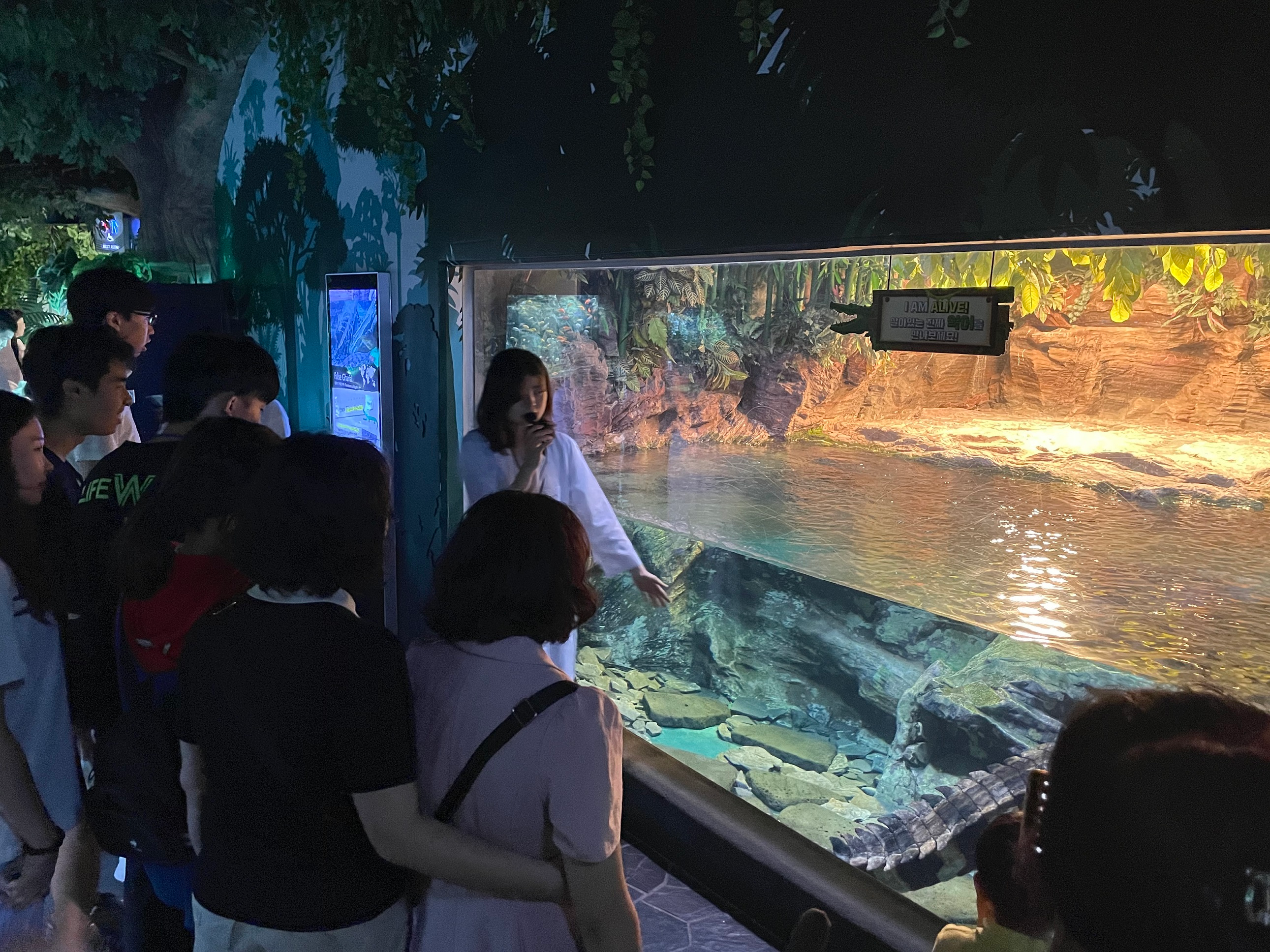 장애인문화데이에 참여한 장애인들이 아쿠아리움을 찾아 즐거운 시간을 보내고 있다./사진제공=송파구