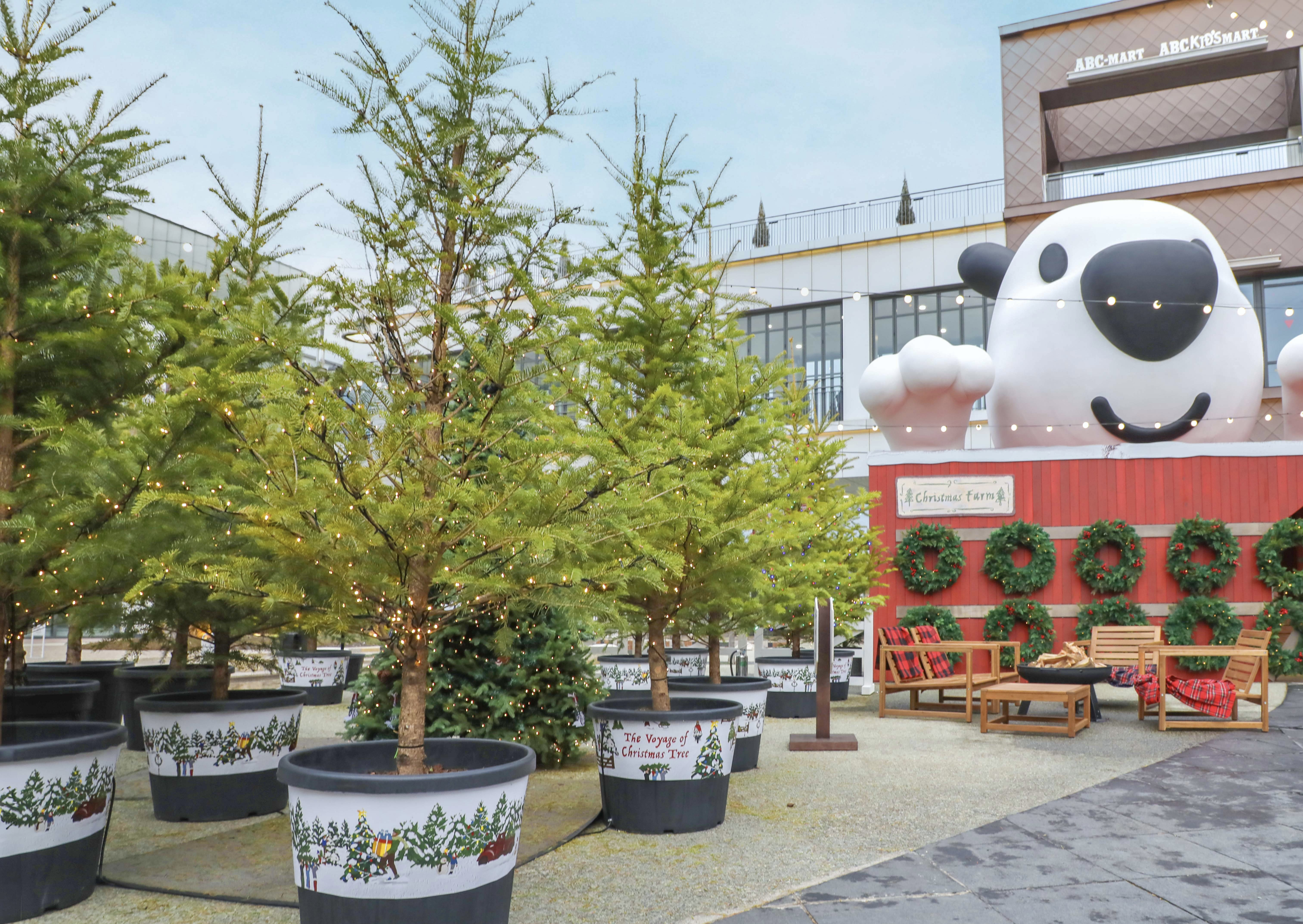 현대백화점이 생목 트리를 내년 봄 주요 공원과 도심 숲에 기부한다. /사진제공=현대백화점