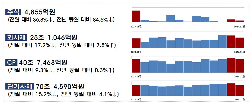 2024년 11월중 기업의 직접금융 조달실적 / 자료제공= 금융감독원(2024.12.23)