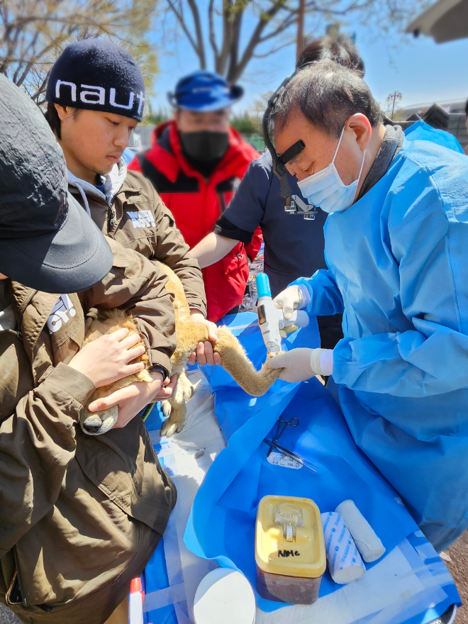 유한양행, 산불피해로 화상입은 동물 치료 지원. /사진=유한양행