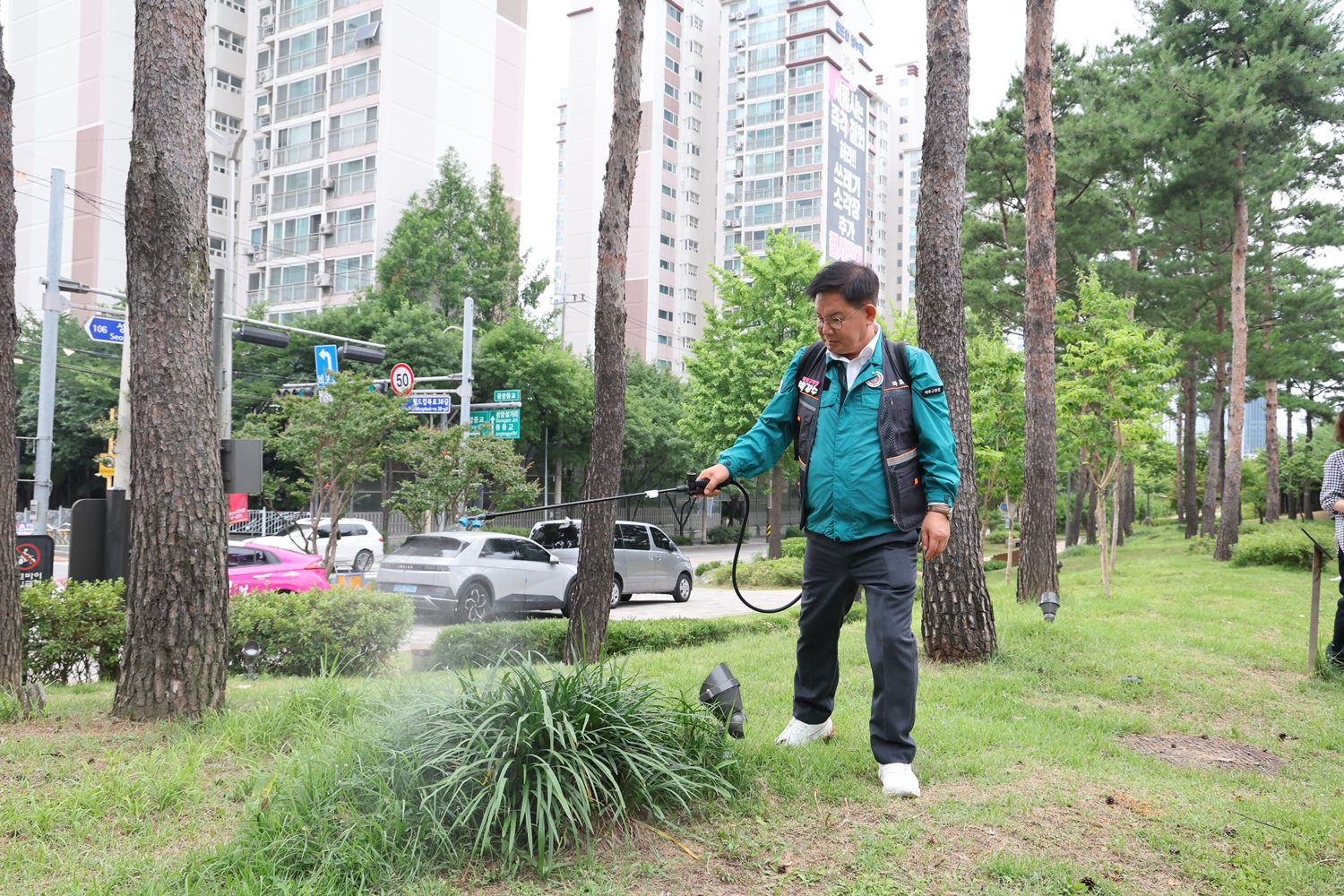 박강수 마포구청장이 ‘러브버그’ 방역 현장을 점검하며 직접 방역에 나서고 있다.