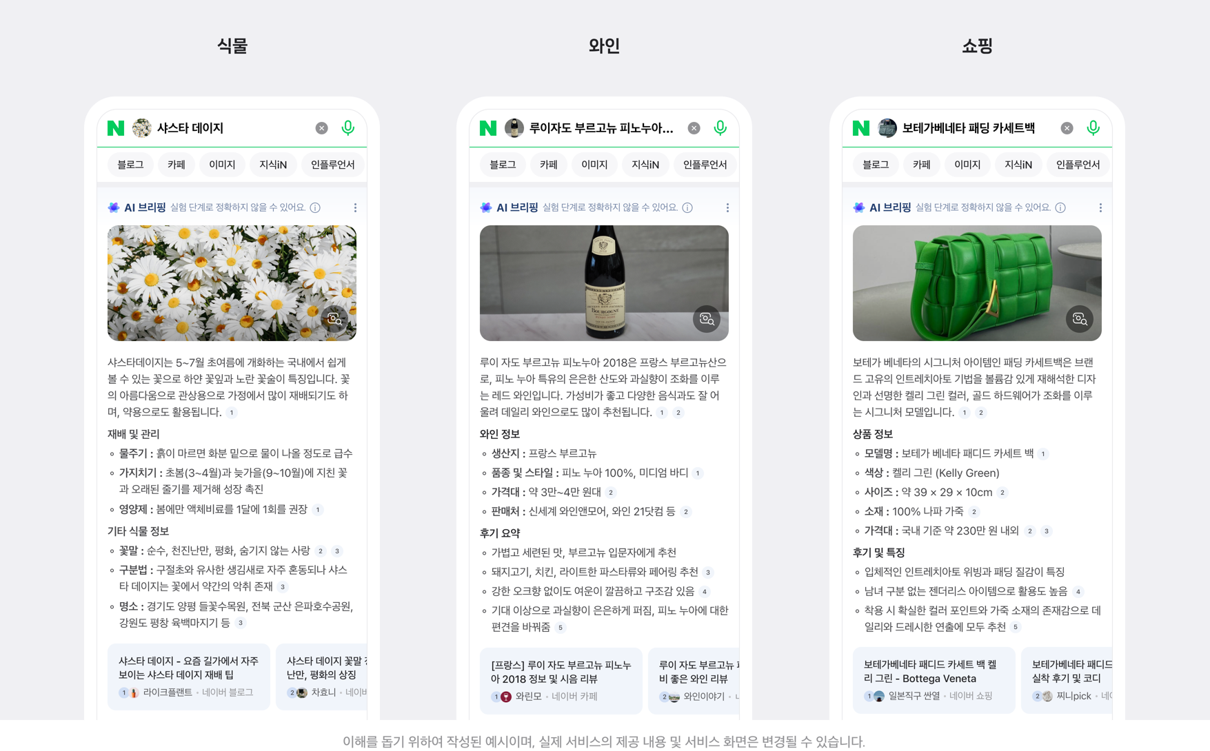 스마트렌즈를 통해 식물, 와인, 패션 주제 이미지를 검색하면 다양한 출처의 콘텐츠를 요약한 핵심 정보과 함께 추가 탐색을 위한 관련 문서 추천이 제공된다. / 사진=네이버