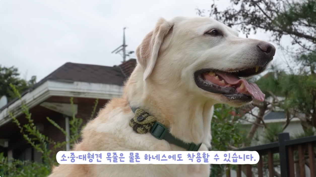 유튜브 '소녀의행성' 속 솔루엠 스마트 태그. / 사진=소녀의행성