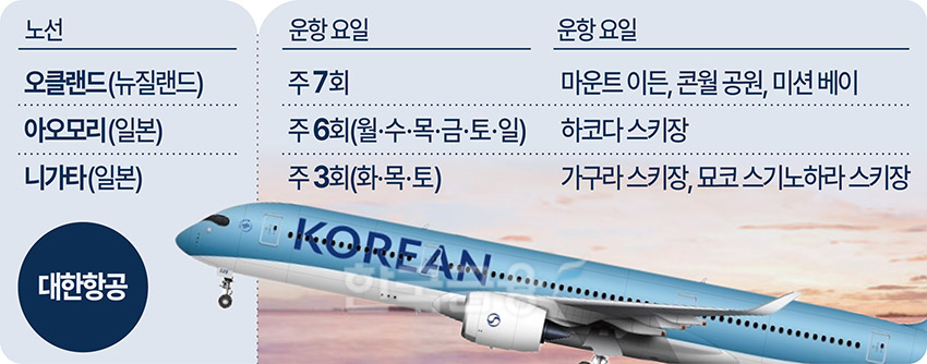 딱 100분이면 가는 오로라 관광···몰디브는 일본에?