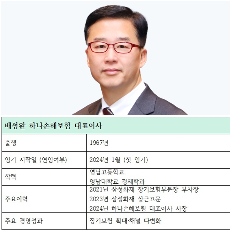 배성완 하나손해보험 대표이사 주요 이력