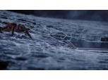 LG유플, ‘X Skin’ 바이럴 광고 영상 인기 돌풍