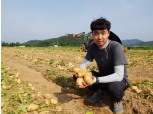 CJ프레시웨이, 감자 계약재배 물량 확대…축구장 60배 규모