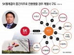 최태원 SKT 중간지주 완성 착수