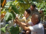 김광수 농협금융지주 회장, 폭염피해 농가 방문