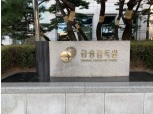 금감원, 보이스피싱 피해예방 위한 금융회사 임원 간담회 개최