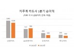 신한·KB국민·우리·하나카드 등 지주계 카드사 1분기 순익 전년比 12% 감소…"나름 선방" 평가