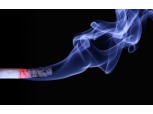 오늘(31일) 세계 금연의 날...흡연자, 비흡연자보다 8년 일찍 죽는다