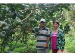 교보생명, 베트남 빈곤농가에 종묘 16만 그루 지원
