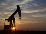 일주일 만에 거래 재개한 일부 원유 레버리지 ETN 60% 폭락