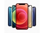 애플, 첫 5G폰 ‘아이폰12 공개…한국 1차 출시국 제외
