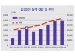 삼성SDI 최윤호, 유럽 발판으로 ‘나홀로 고성장’