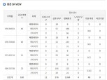 SK에코플랜트, ‘중촌 SK VIEW’ 특별공급 종료…생애최초 경쟁률 평균 35대 1