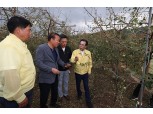 농협중앙회, 우박 피해 농가 복구 지원 전력