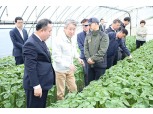 강호동 농협중앙회장, 대구 깻잎농가 찾아 농업인 피해복구 총력지원