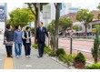 마포구, 2038년까지 나무 500만 그루 심는다