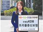 KDB생명, 종신, 건강, 연금 ‘트리플종신보험’