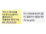 카드사 사칭 스미싱 합동 주의경보 발령