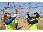 NH농협생명 행복나눔 봉사단, 농촌일손돕기 실시