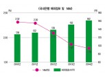 신흥국 리스크 증가, “은행 진출 신중해야”