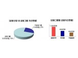 “삼성·동부·미래에셋도 금융그룹 감독 적용해야”